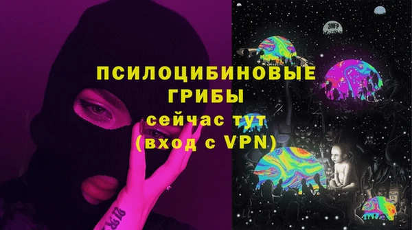 спиды Михайловка