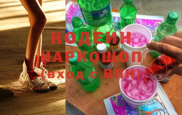 прущие грибы Медногорск