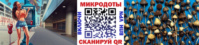 Купить закладки Маркс Псилоцибиновые грибы Psilocybine cubensis